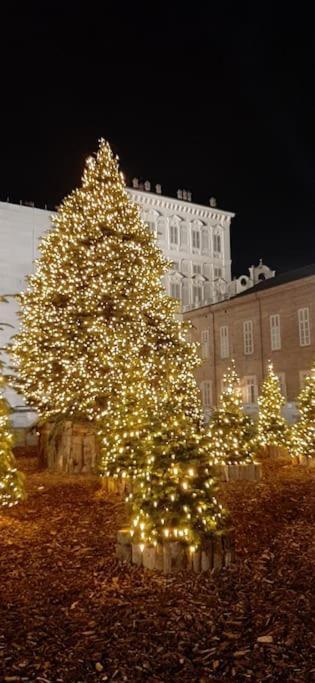 Romantica Mansarda Nel Cuore Di Torino Luaran gambar